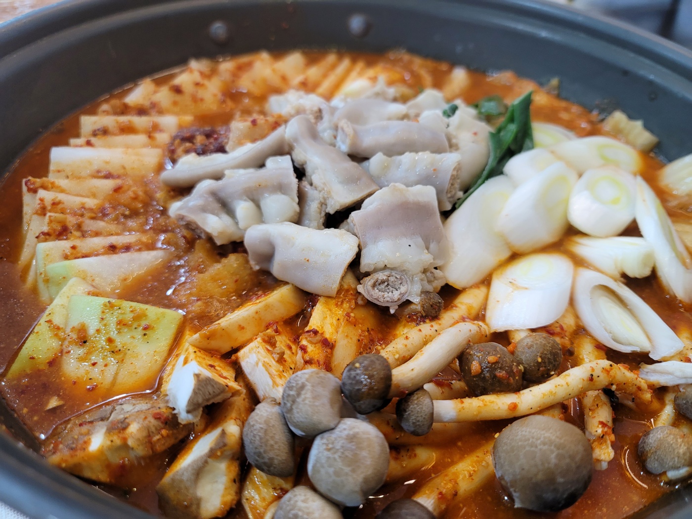 코끼리곱창막창