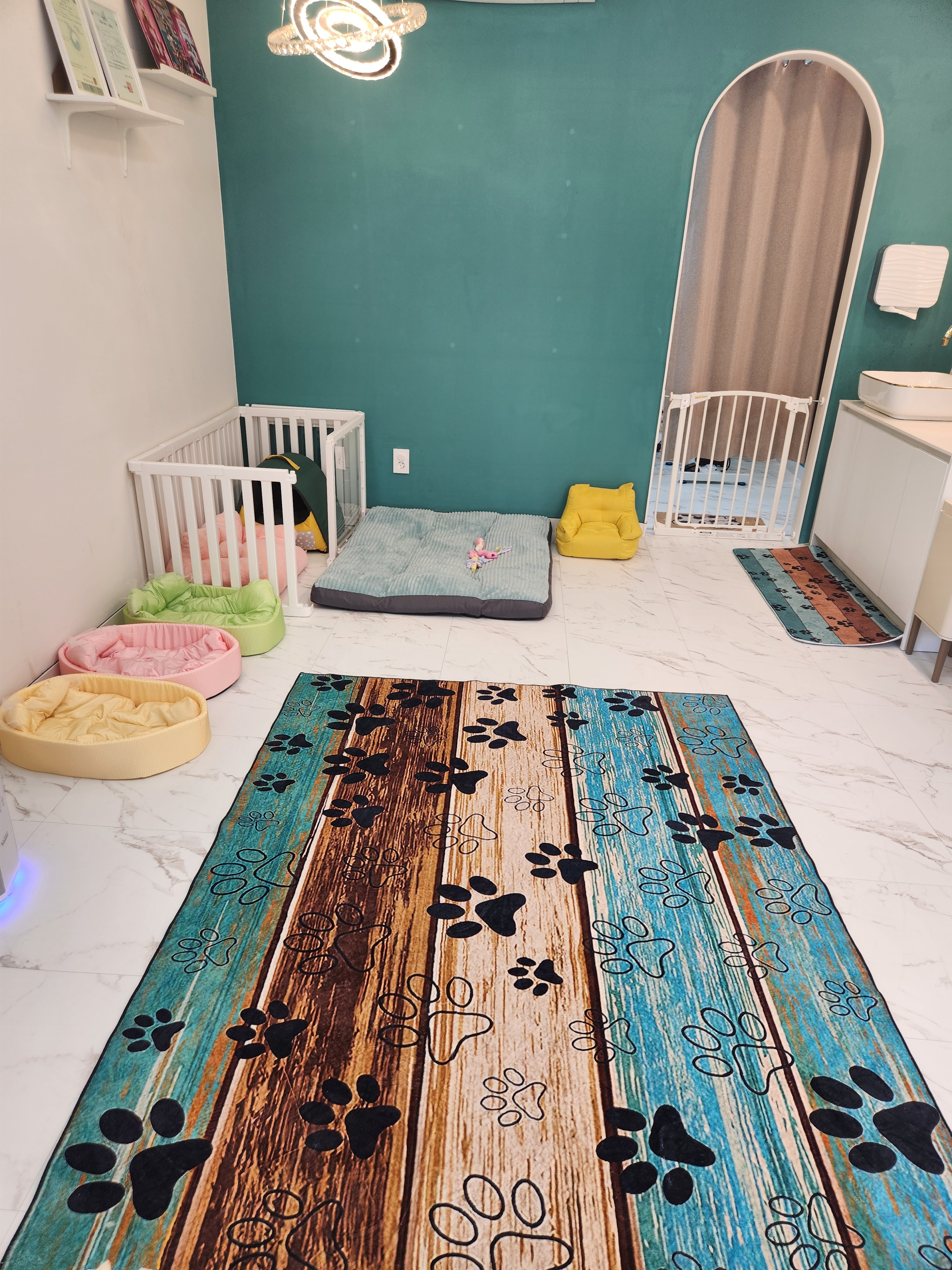 제이뽀애견미용실 대표 이미지