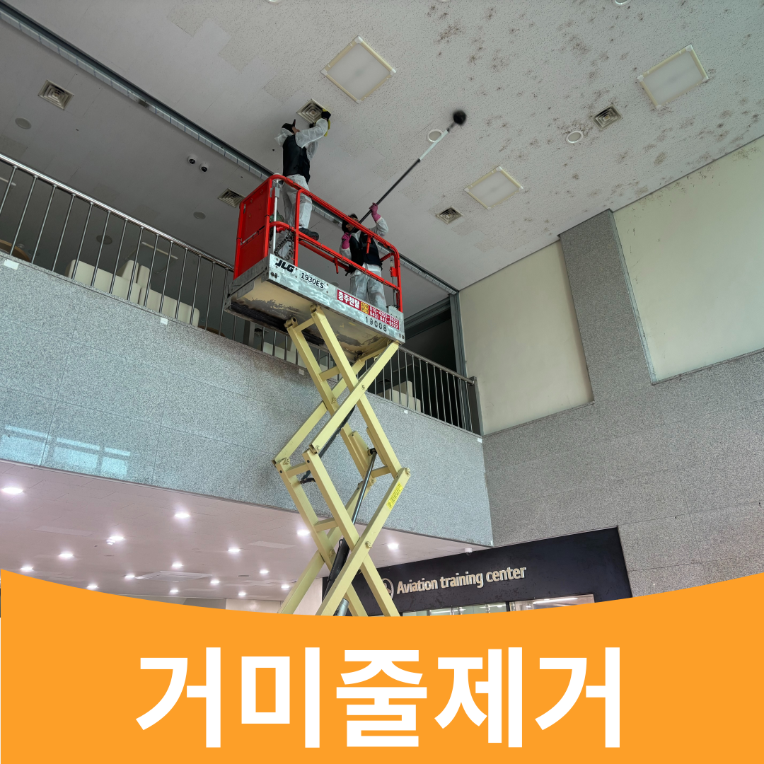 디딤청소종합관리