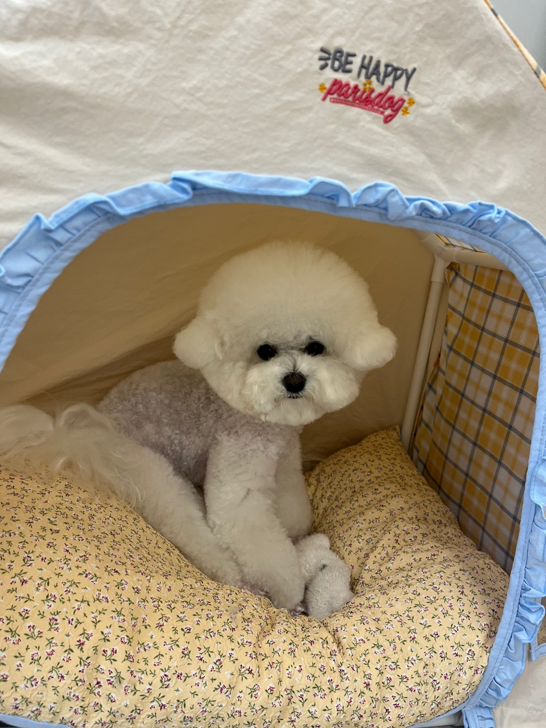화명동 이리온댕 이미지