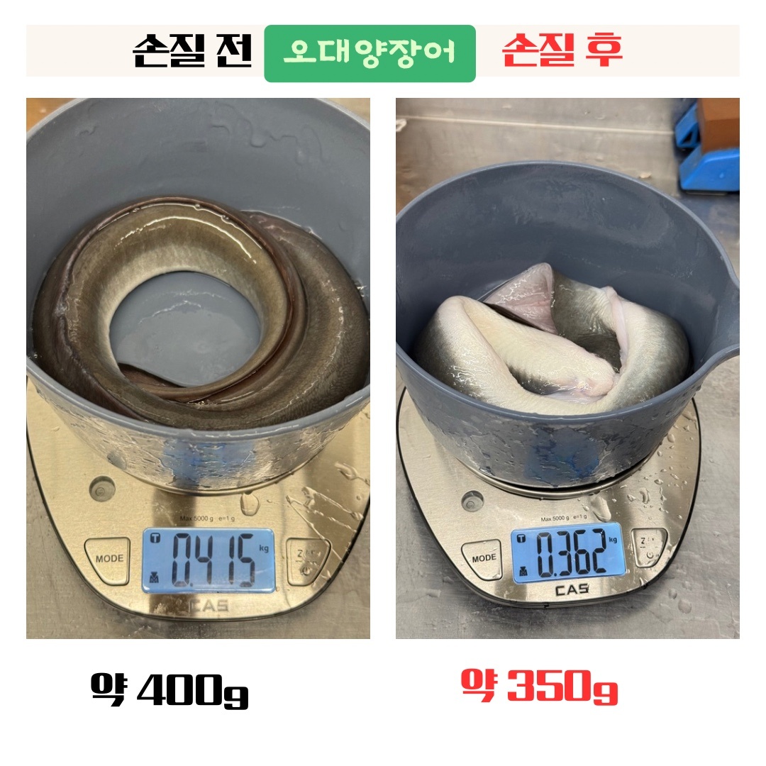 오대양장어 경산직영점