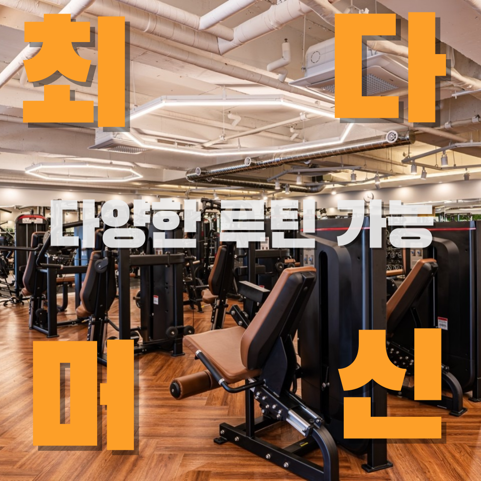 바디앤짐 헬스&PT 성산점