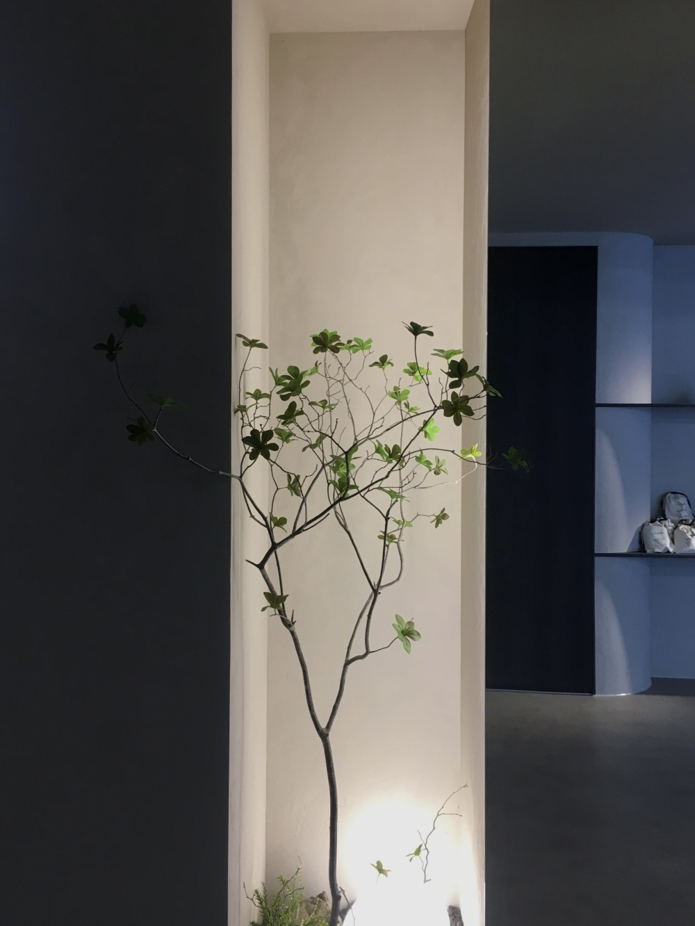 벨레자필라&바레 범어만촌점 대표 이미지