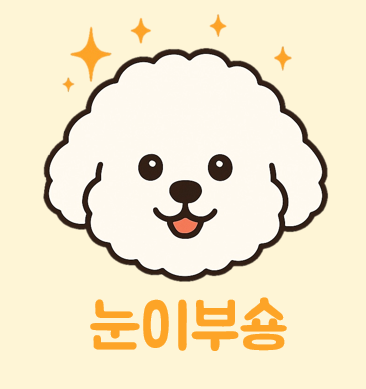 눈이부숑 대표 이미지