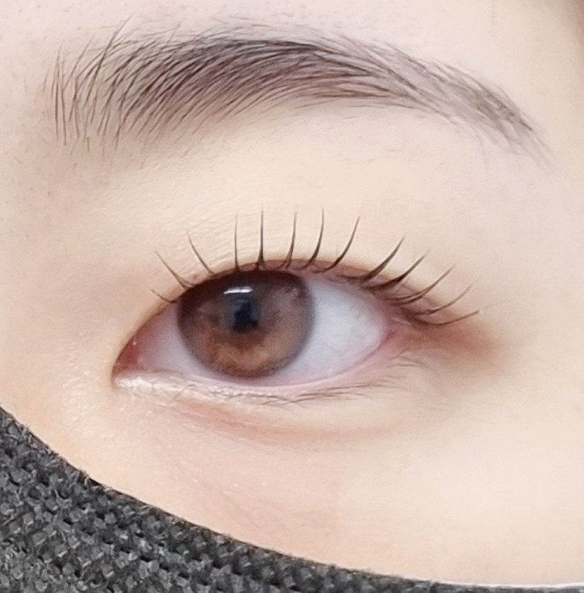 래쉬걸 대표 이미지