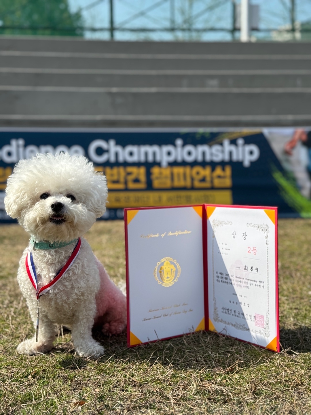 똑똑 애견유치원&호텔 대표 이미지