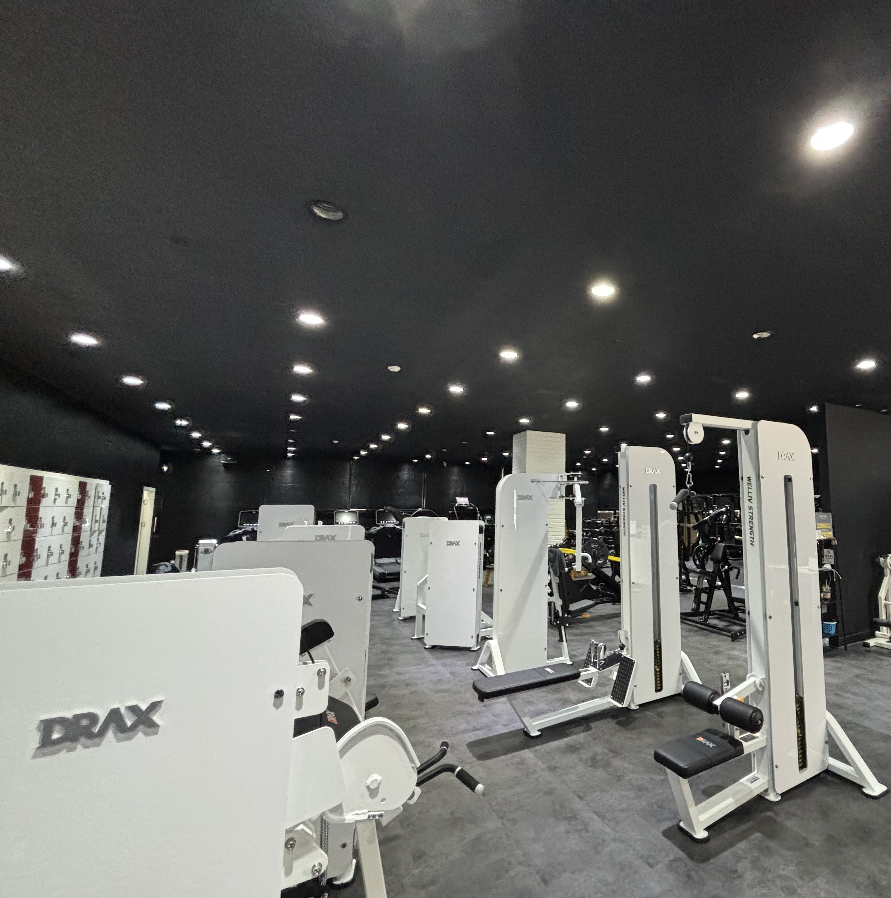 킹바디짐