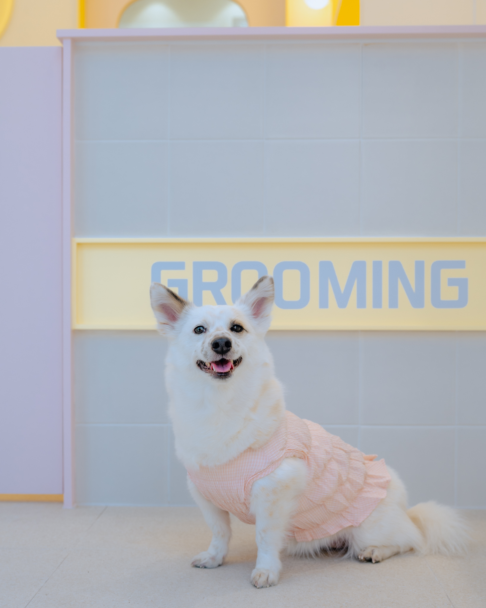 베비까까 대표 이미지