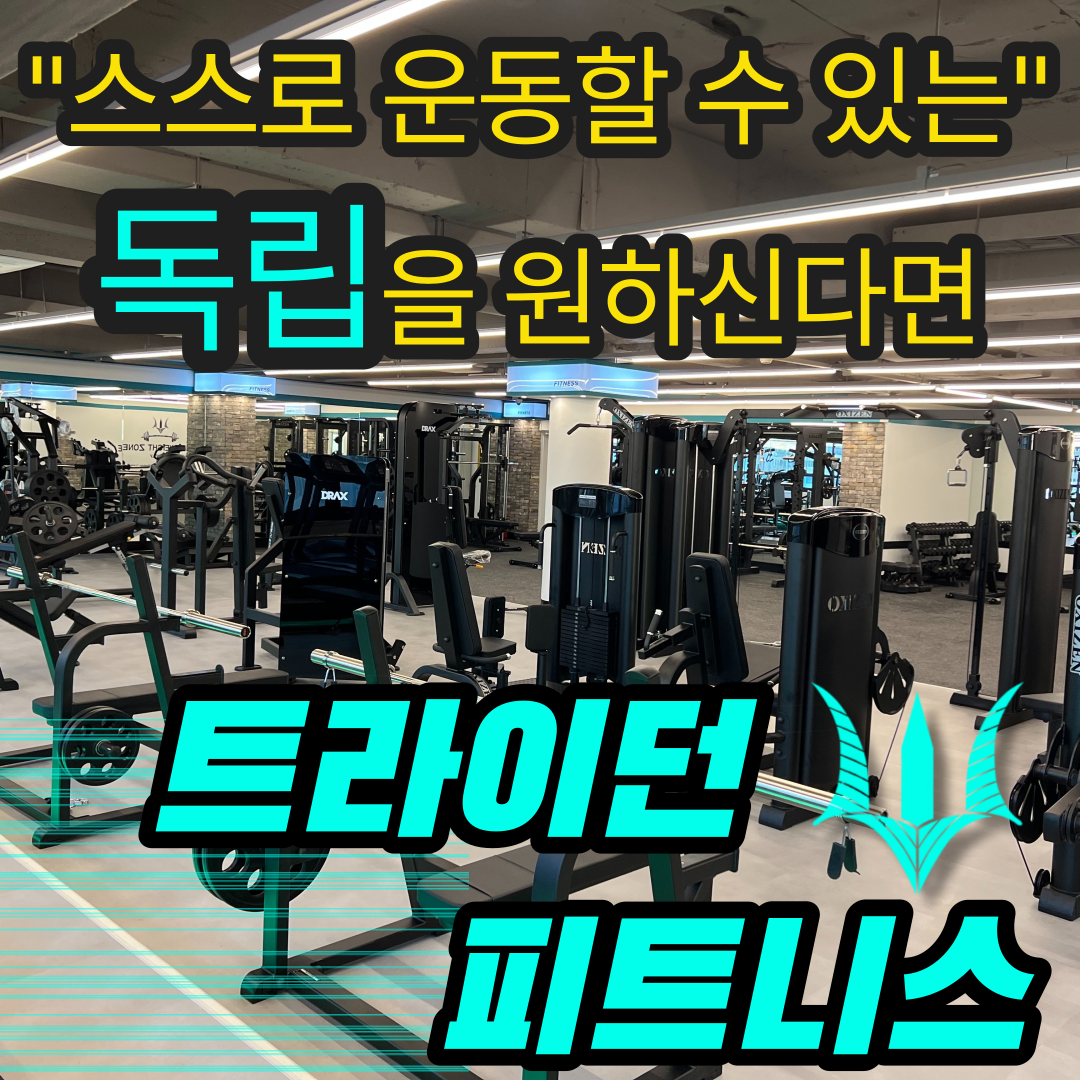 트라이던피트니스
