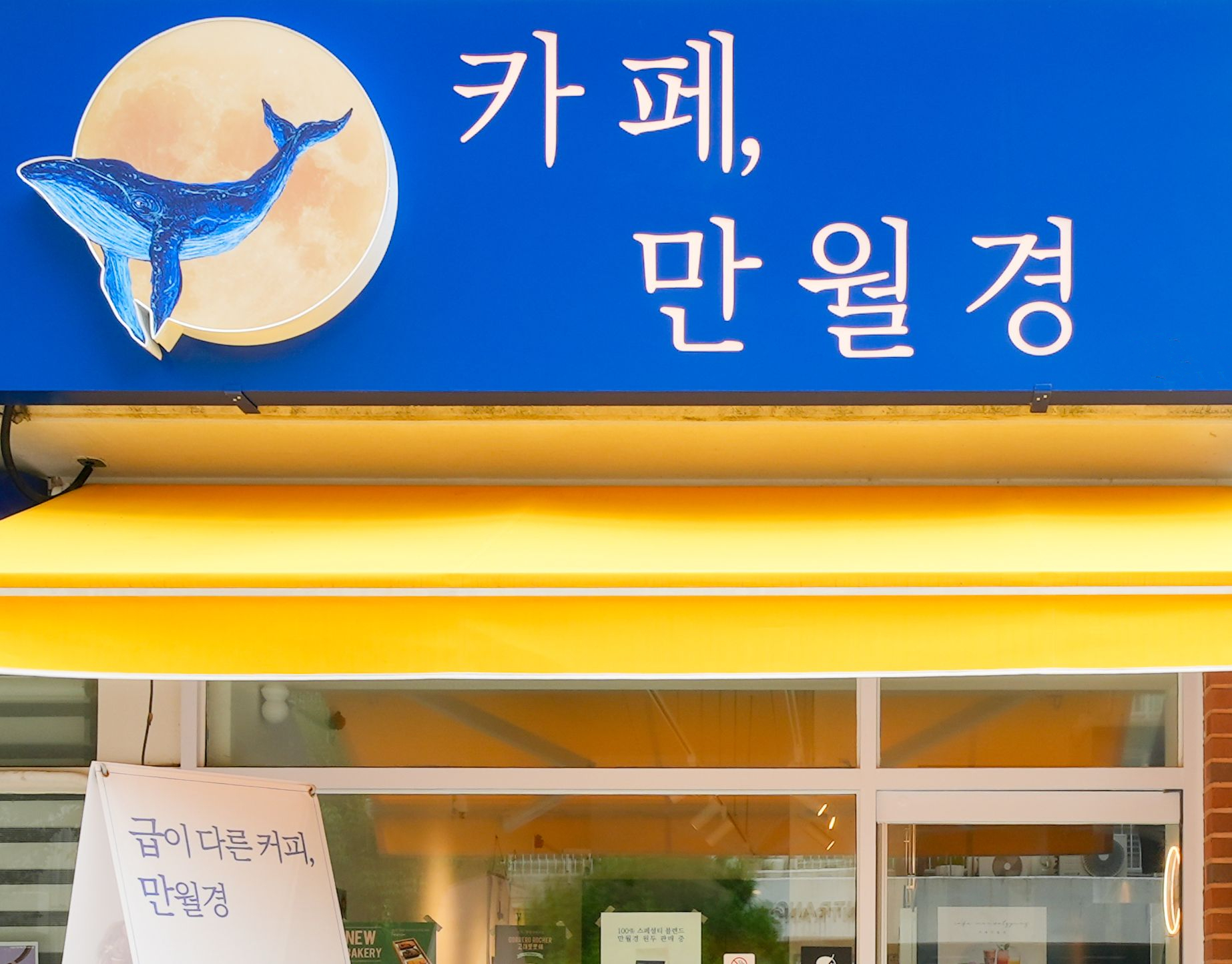 업체사진