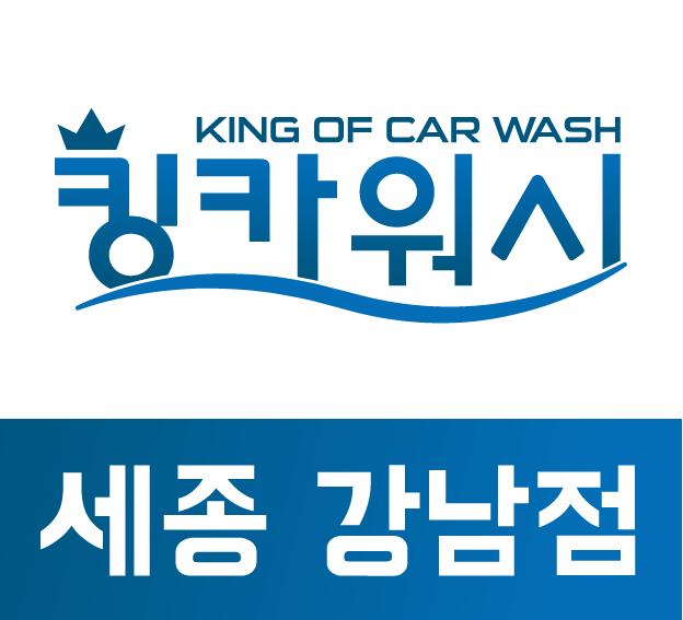 세종출장세차