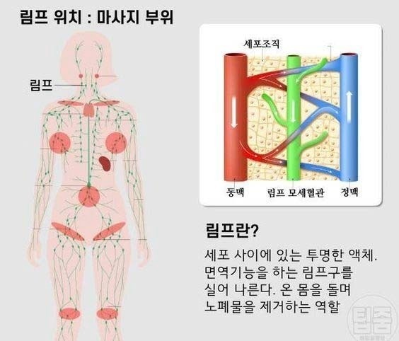 와와카페