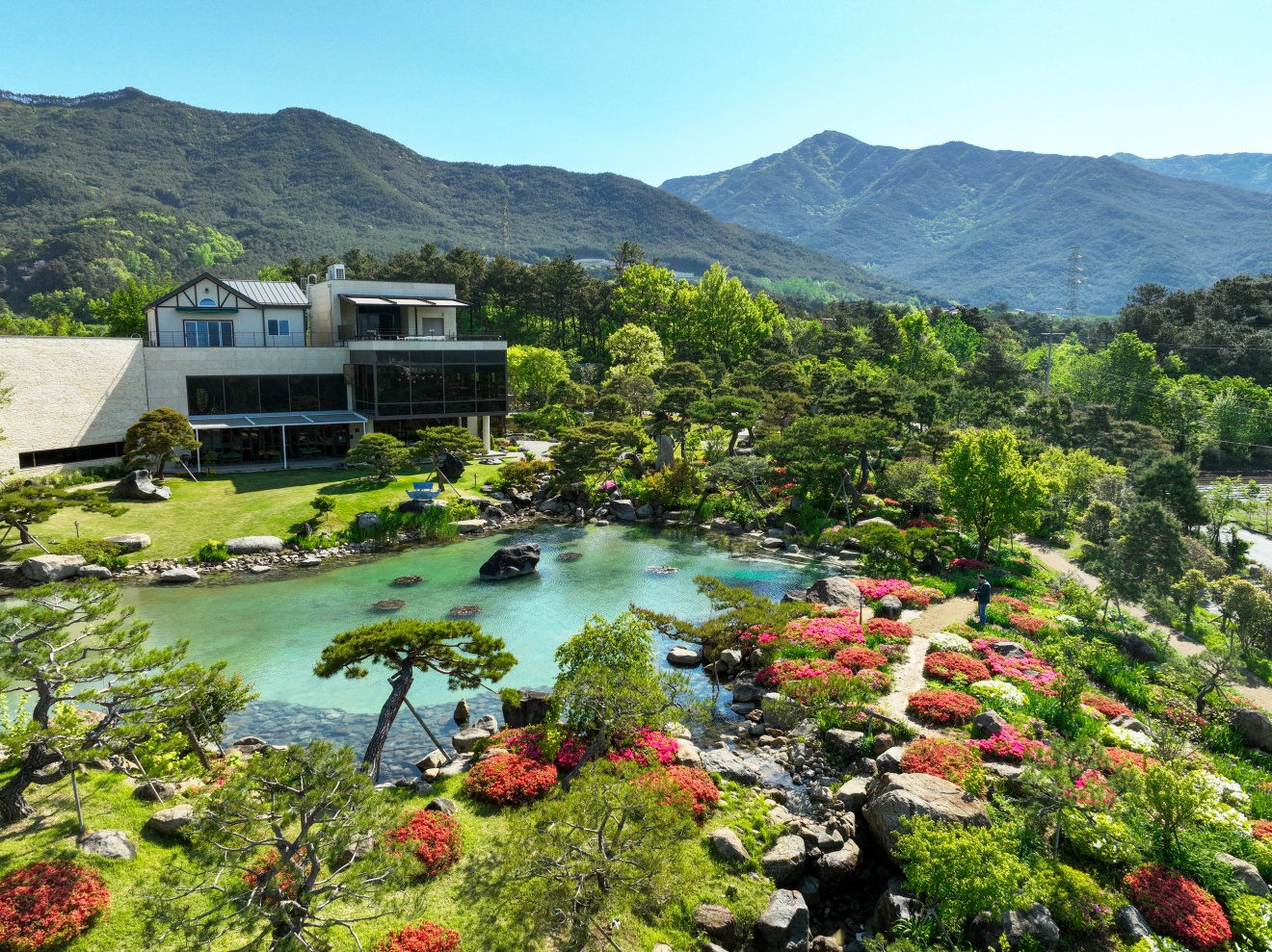 반야원 플라타너스