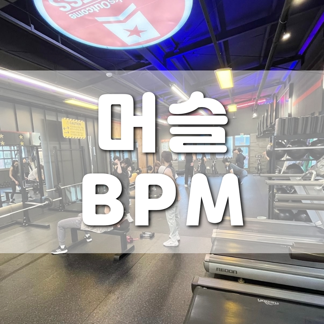 패트릭스아웃컴 신정교