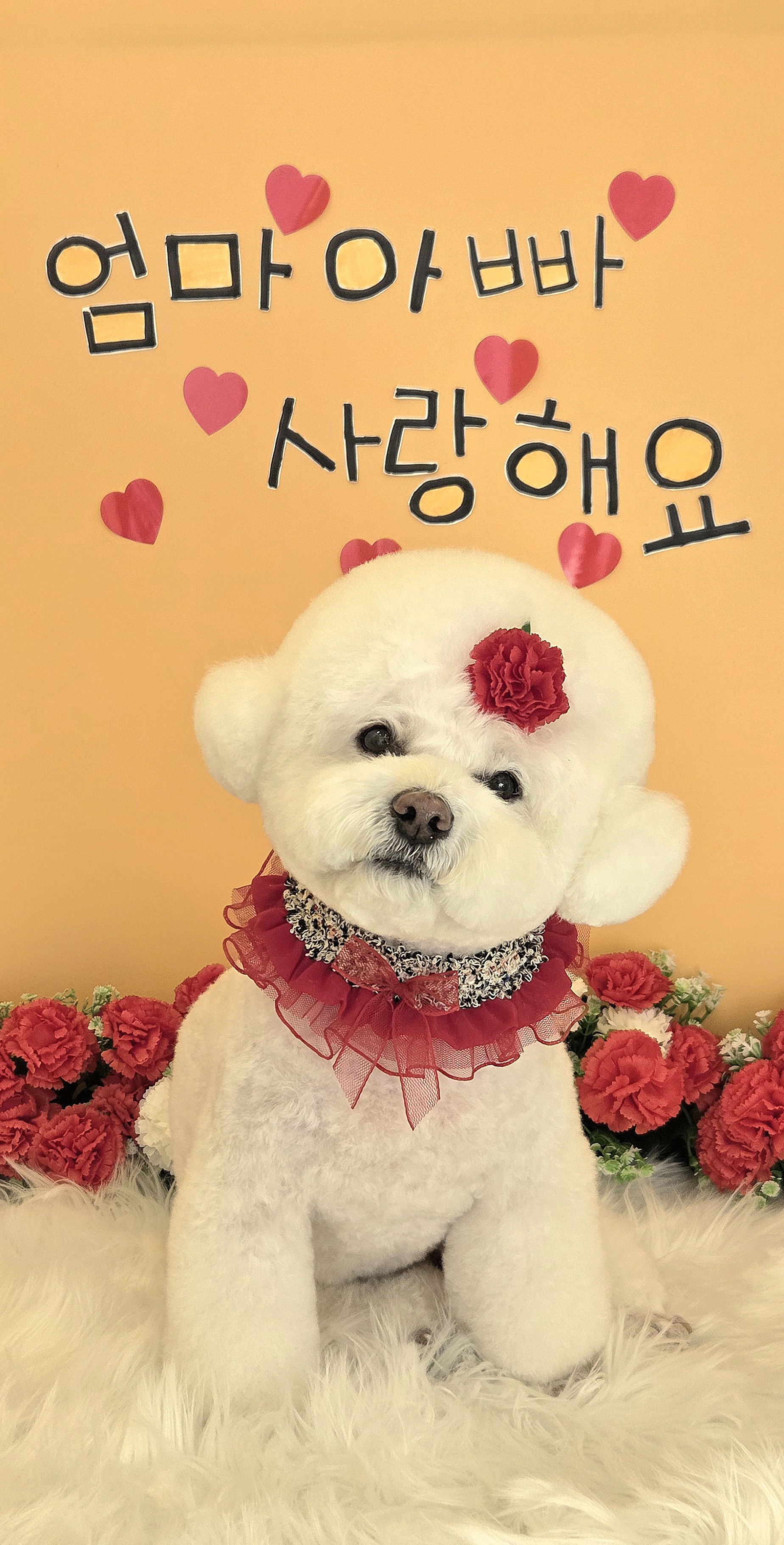 아띠퍼피 대표 이미지