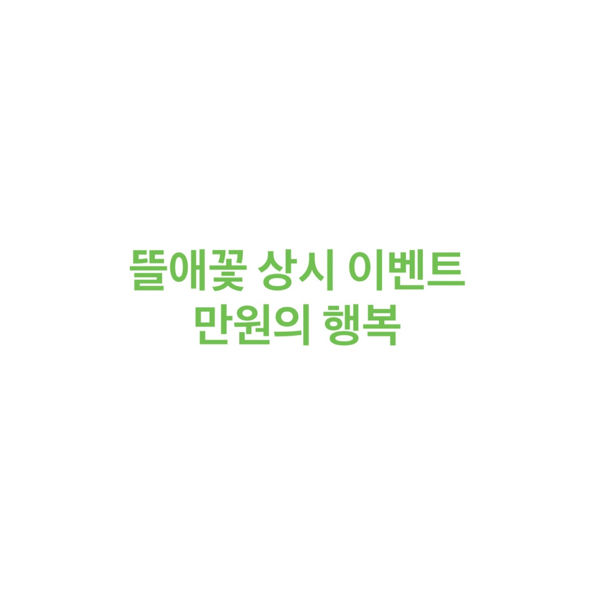 뜰애꽃