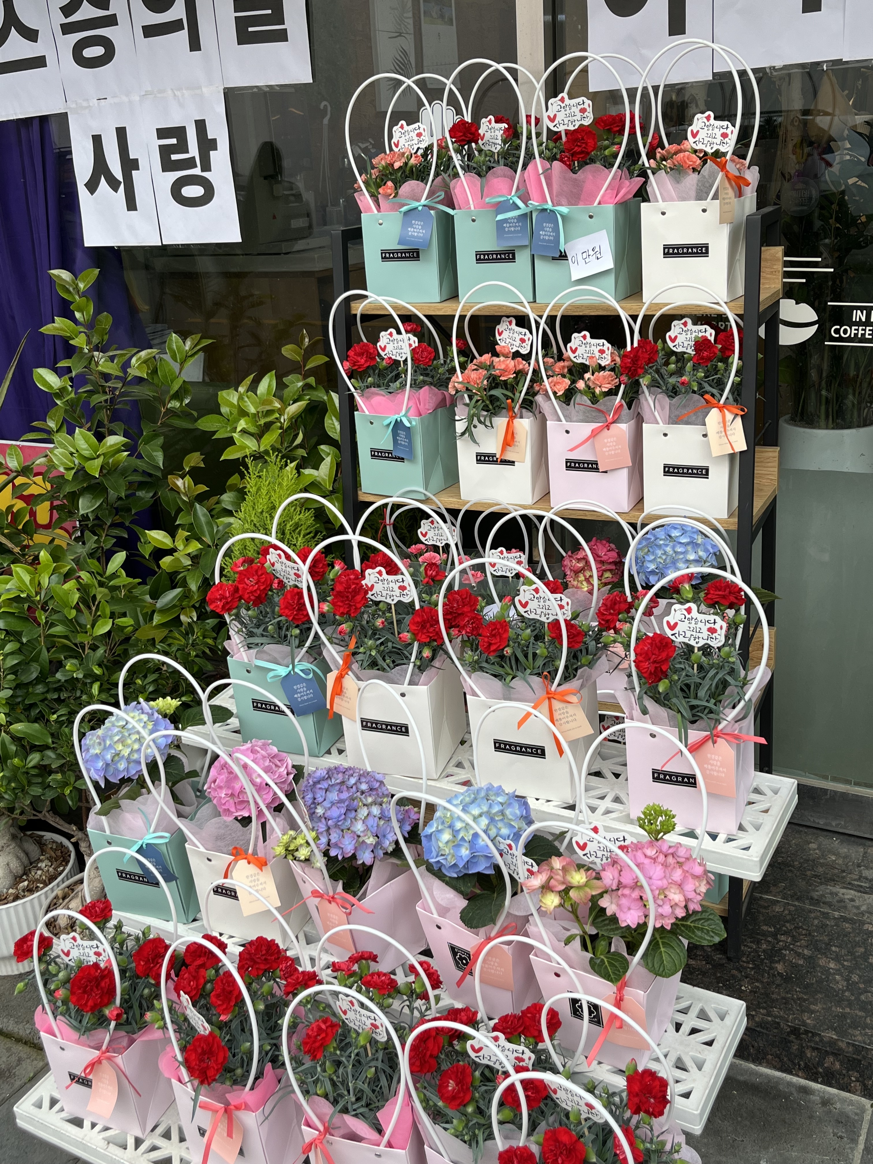 향기나는화원