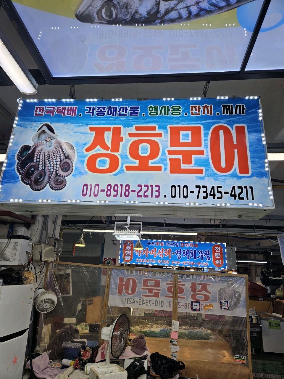 장호문어수산