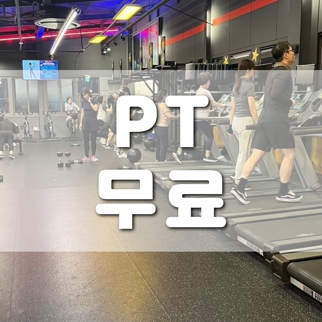 패트릭스아웃컴 신정교