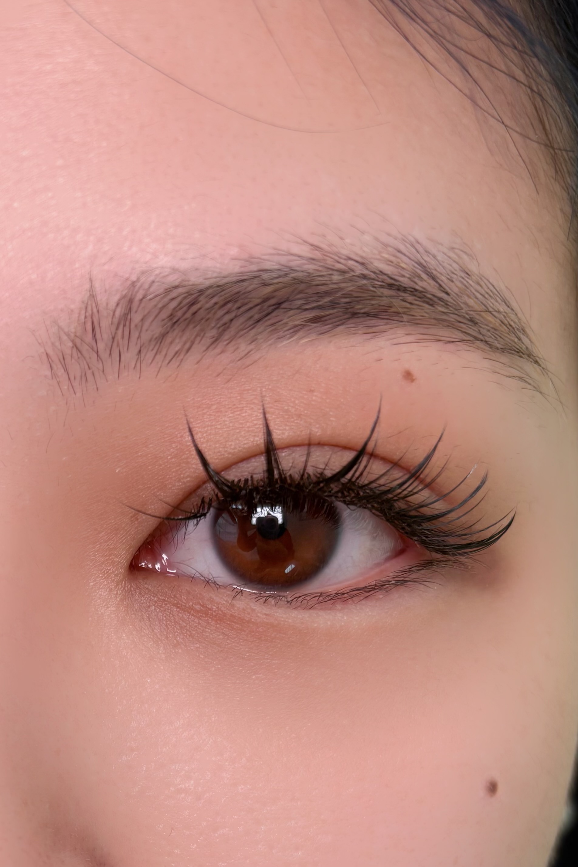 오니코아이래쉬 강북 대표 이미지