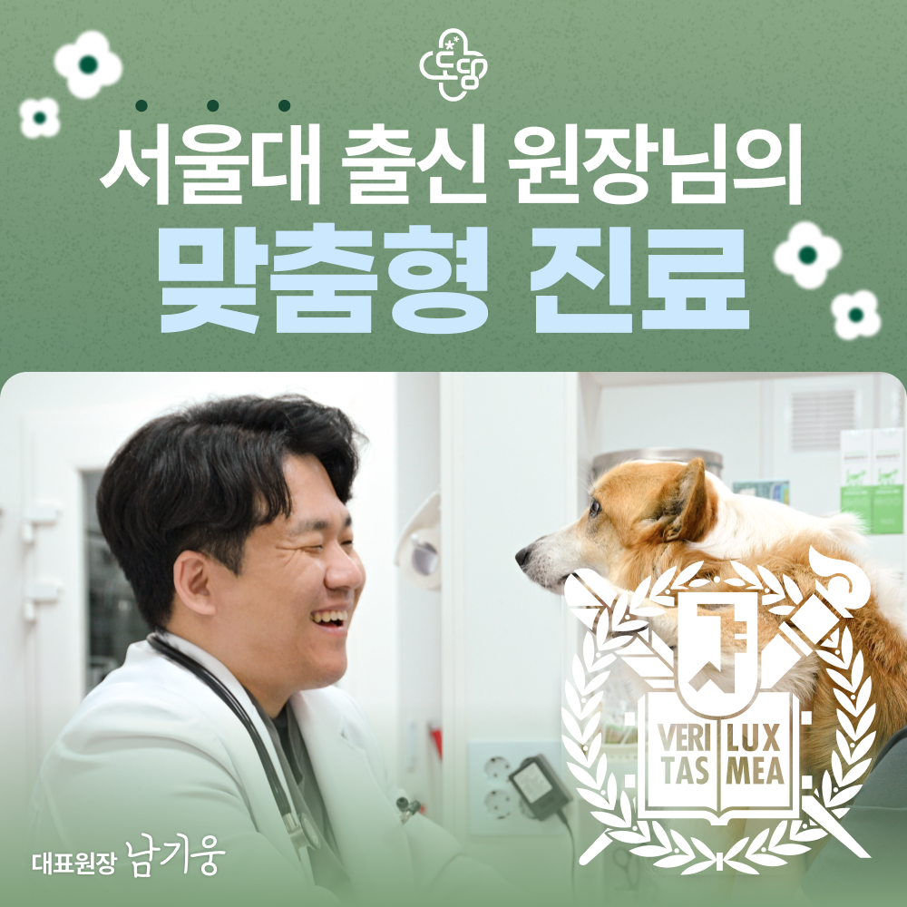 도담동물의료센터