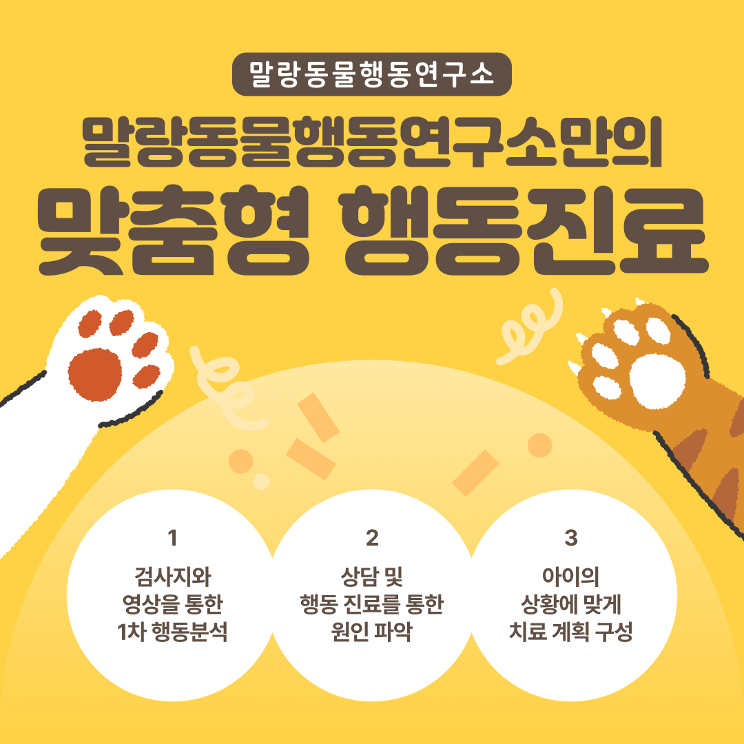 말랑동물행동연구소 대표 이미지