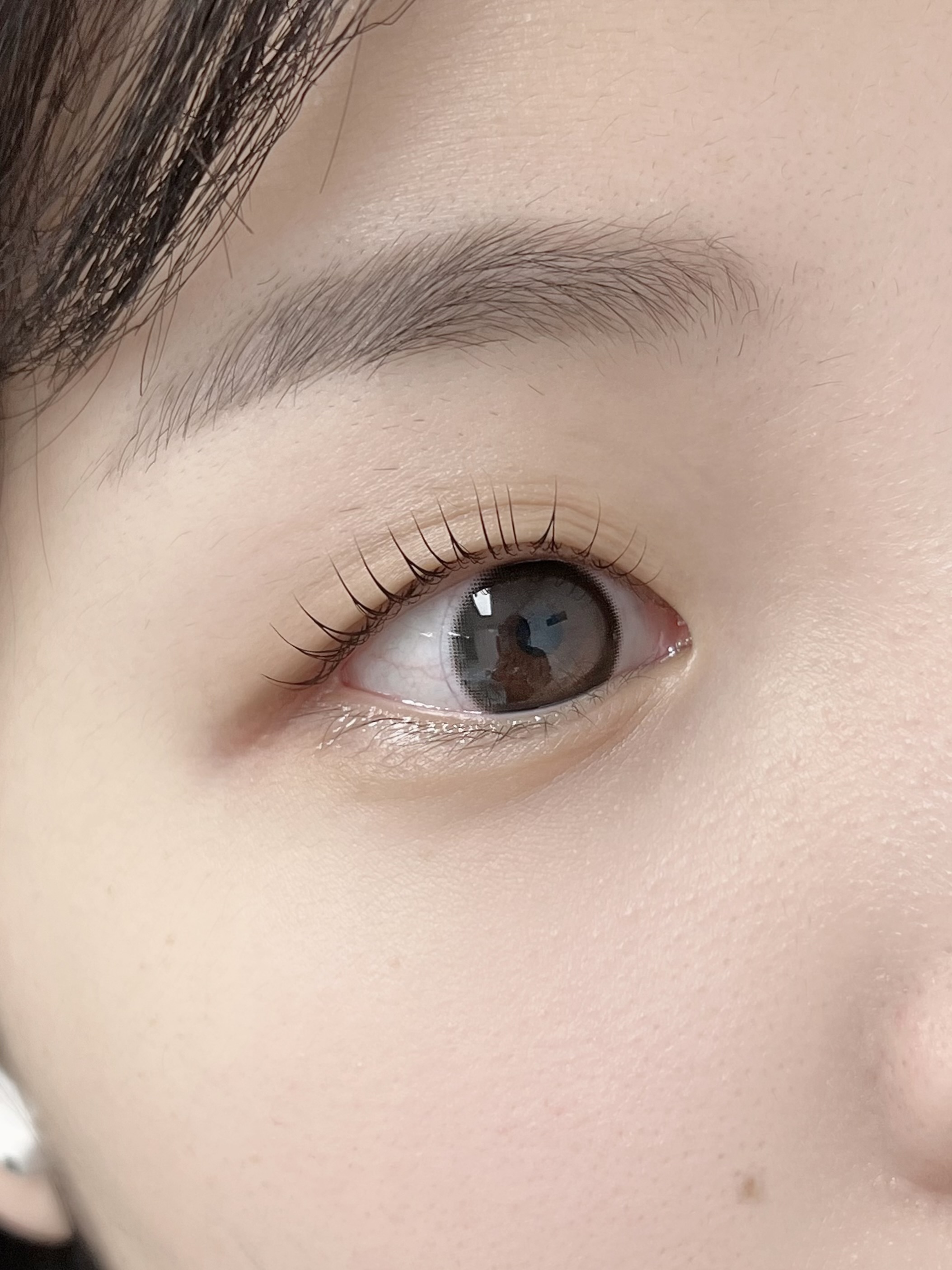 리유브로우 수유 대표 이미지