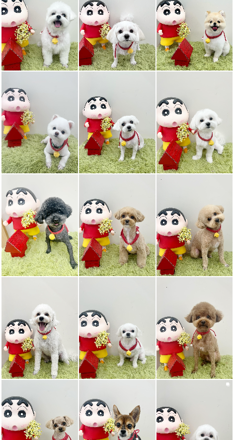 허그몽 대표 이미지