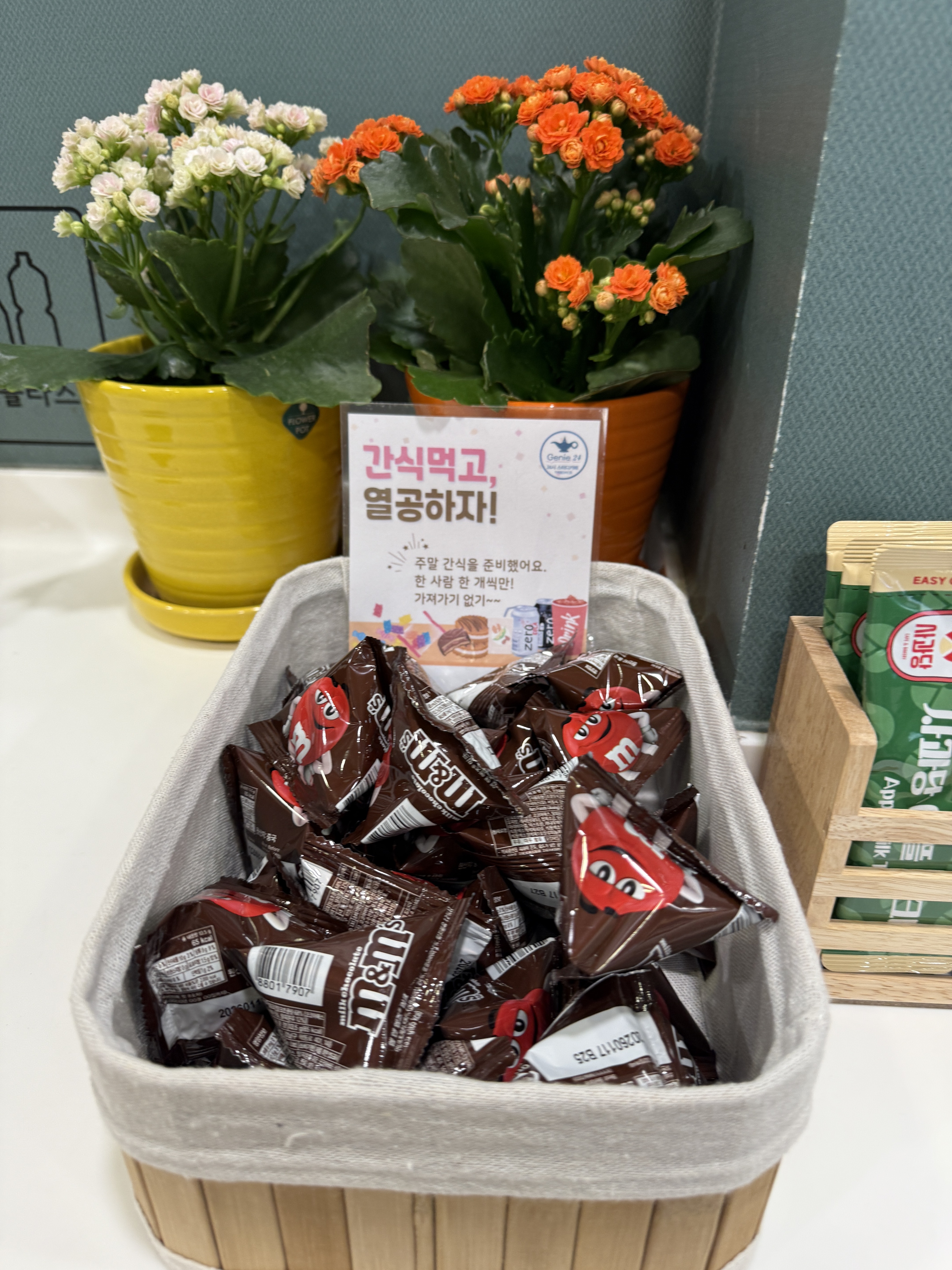 업체사진