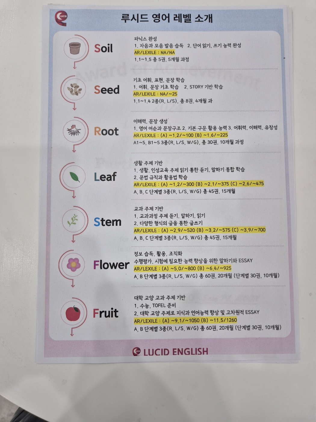 루시드 어학원 위례