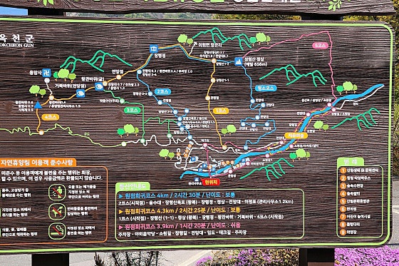 커피엔게디