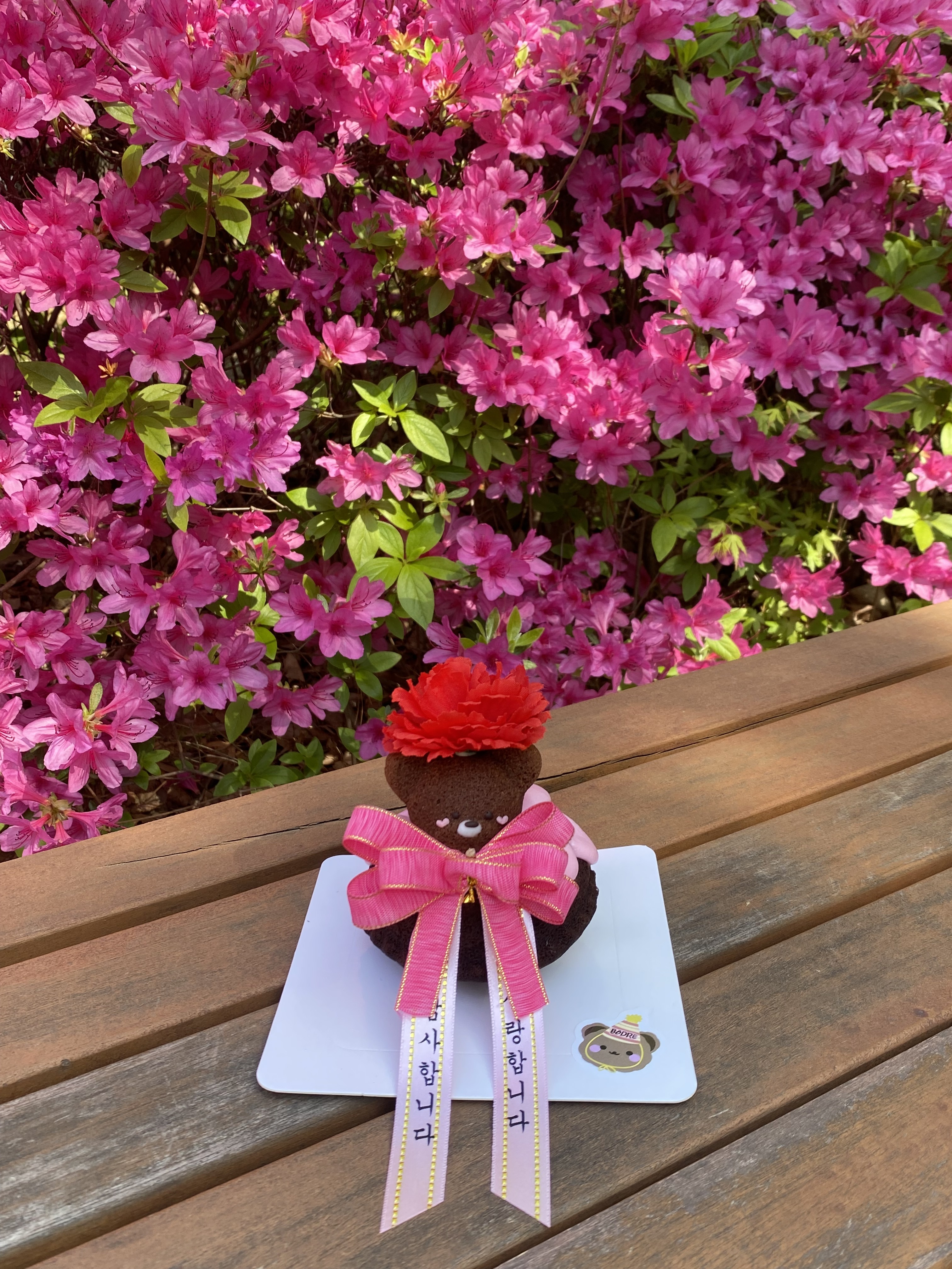 보드레커피 대표 이미지