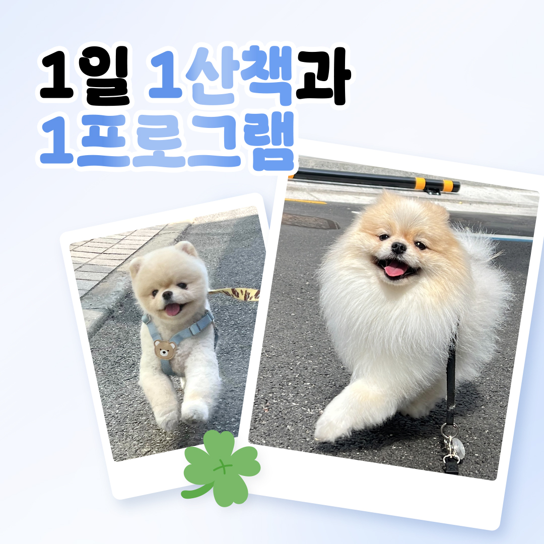 멍파 강아지유치원 대표 이미지