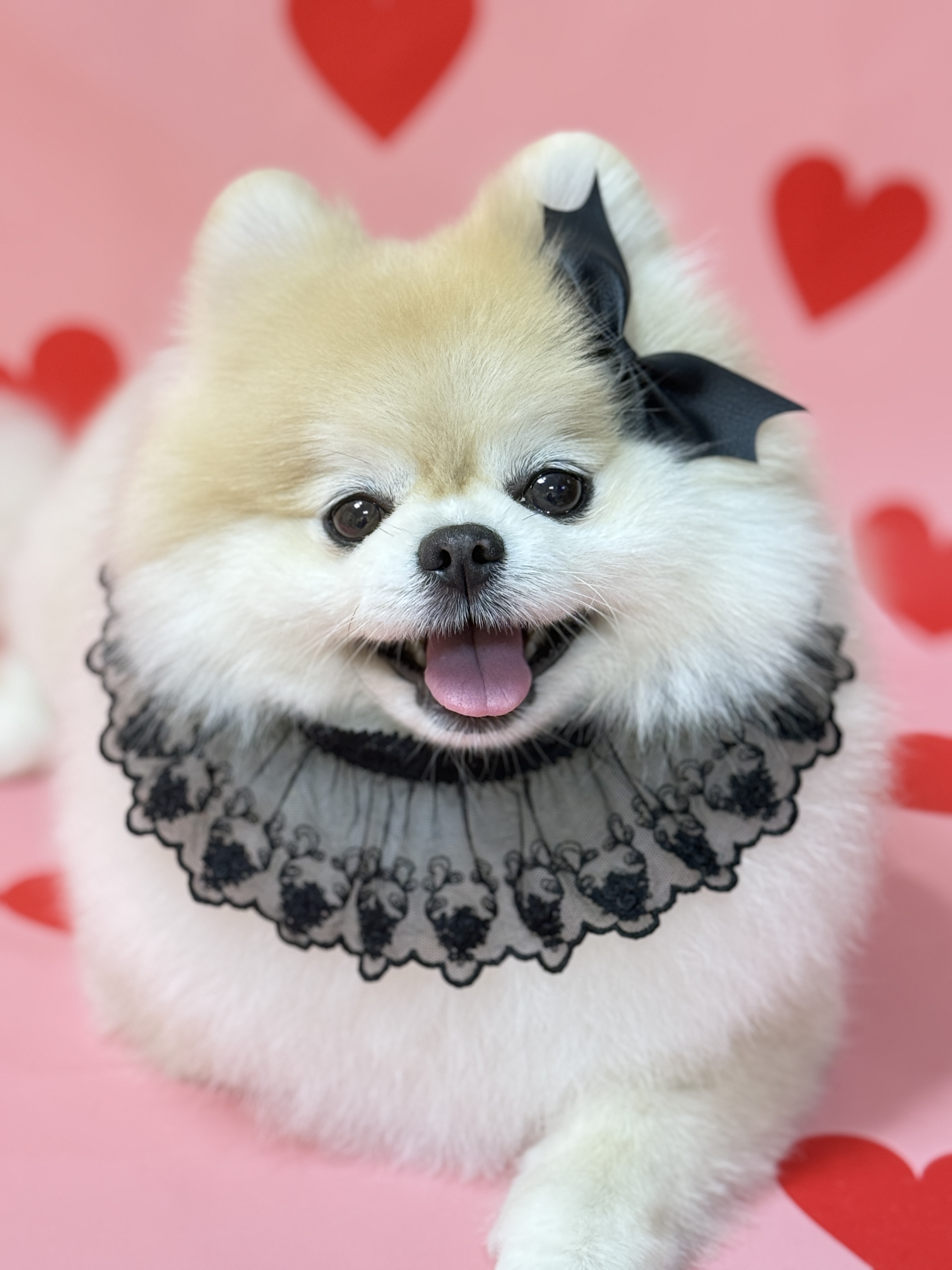 유포리아 대표 이미지