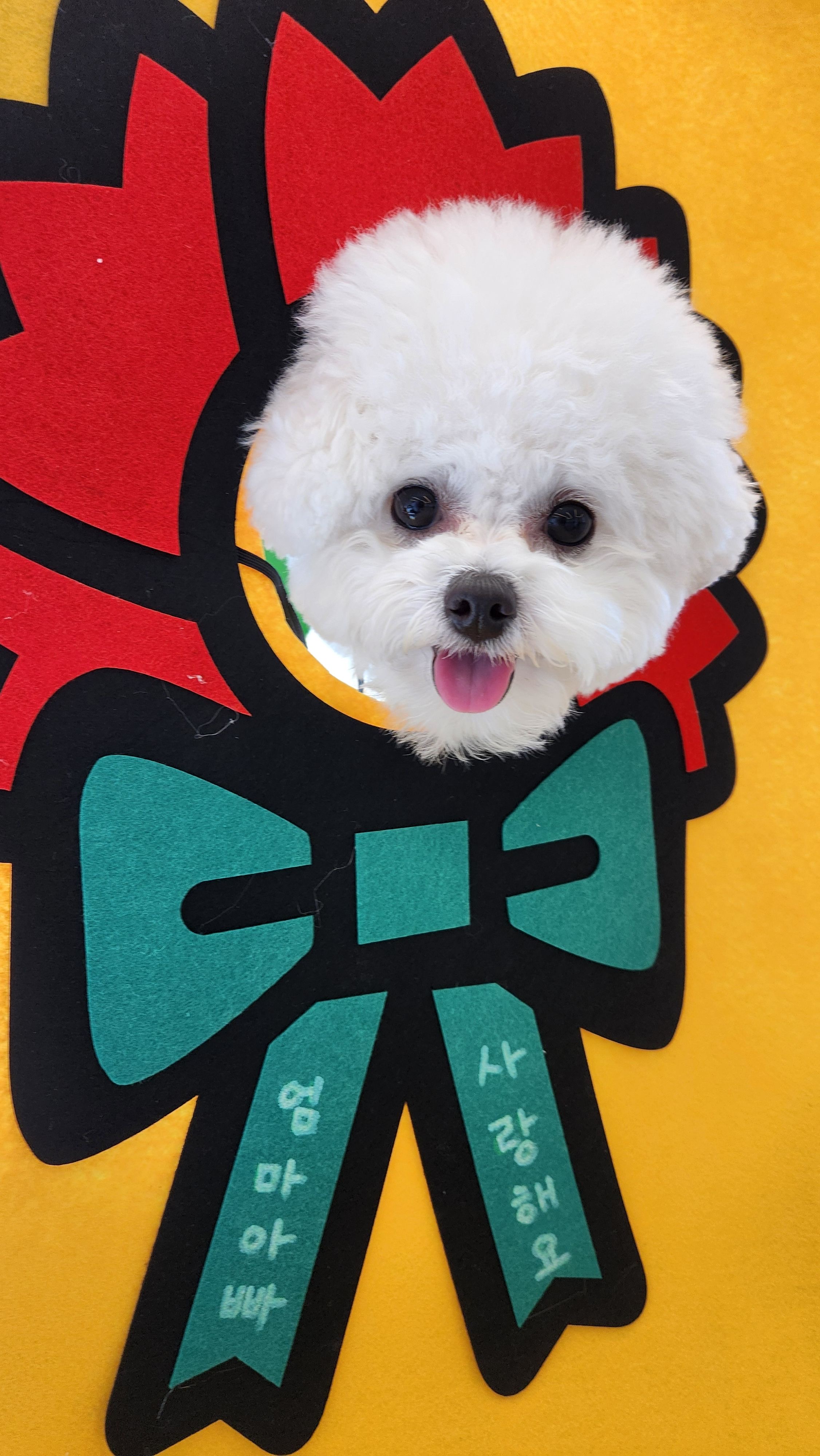 댕글댕글유치원 대표 이미지