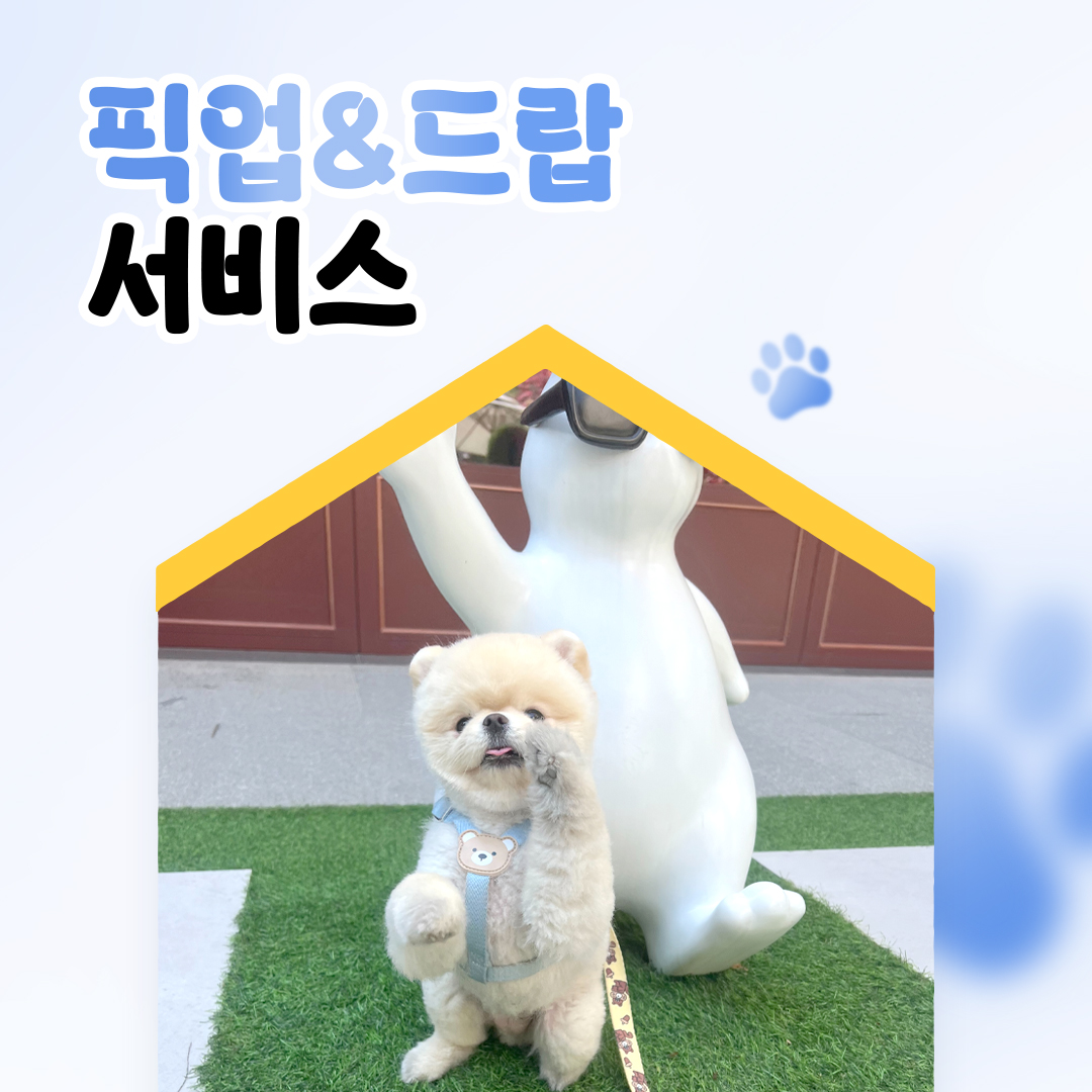 멍파 강아지유치원&애견호텔&애견미용 대표 이미지