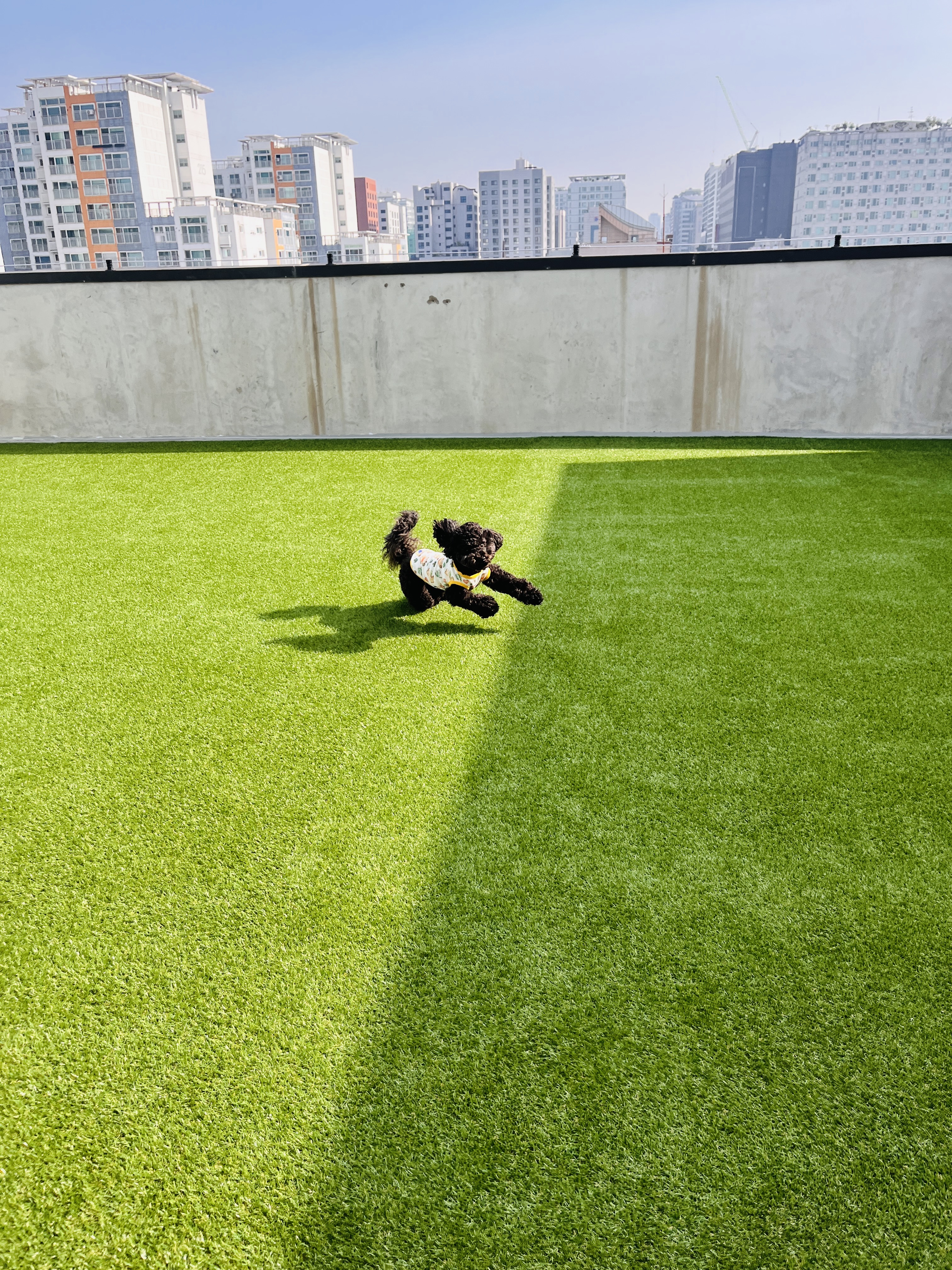 댕글댕글유치원 대표 이미지