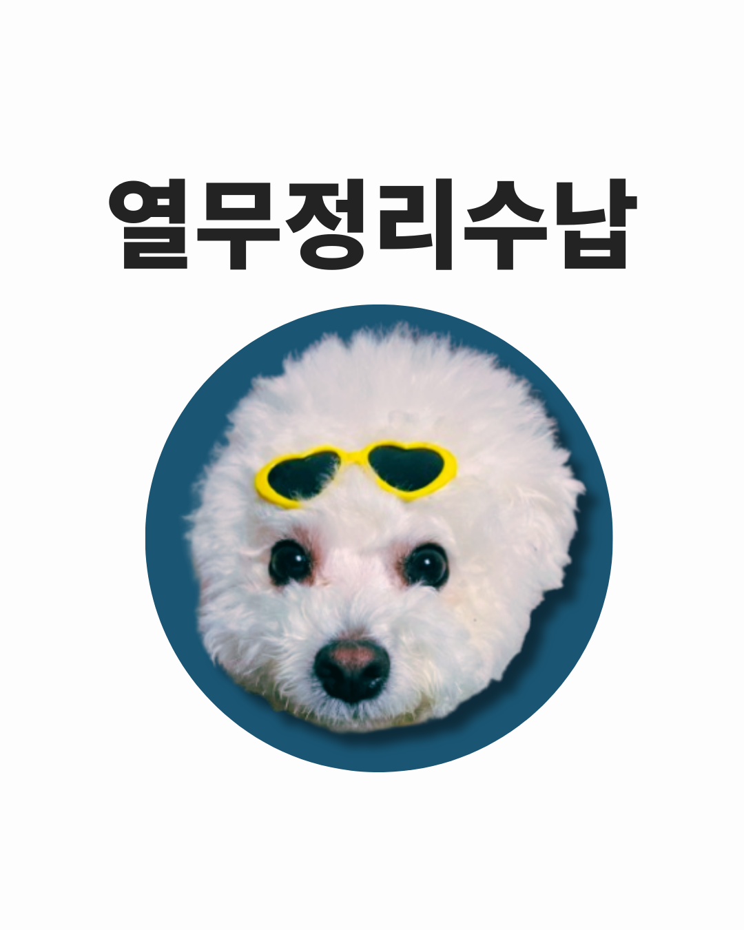 열무정리수납 대표 이미지: 정리된 수납 공간