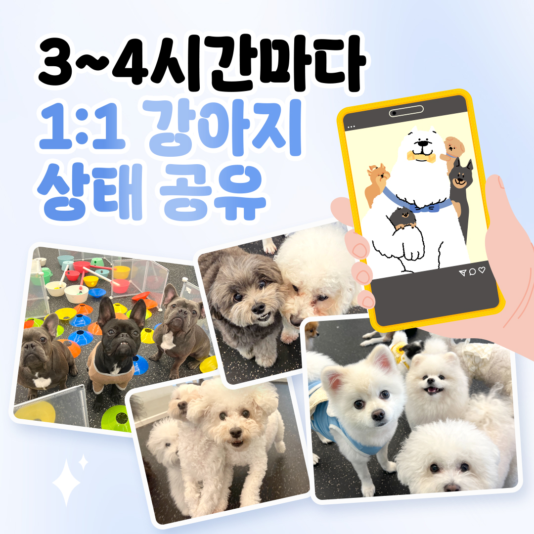 멍파 강아지유치원&애견호텔&애견미용 대표 이미지