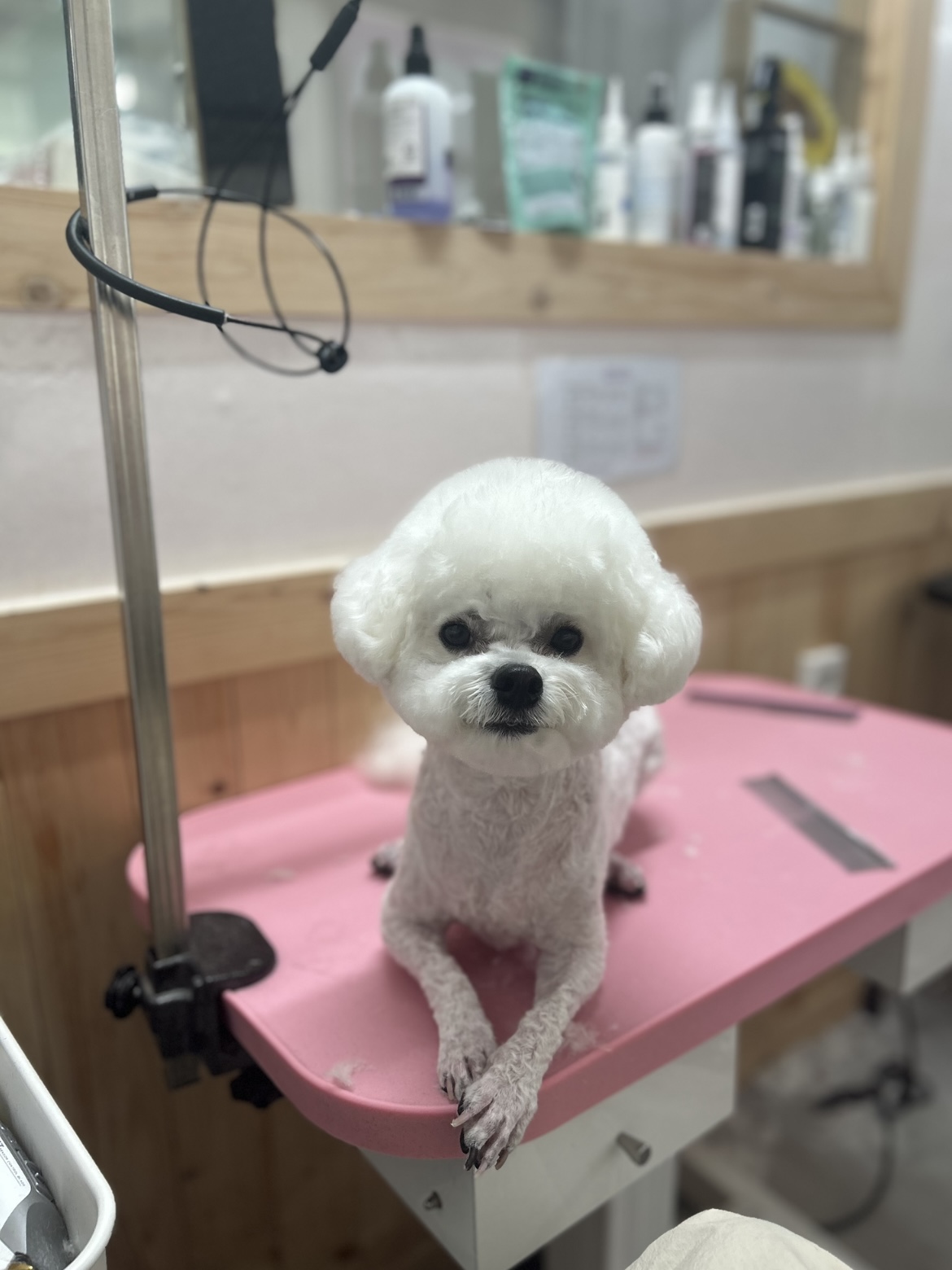 멍멍1길 23 대표 이미지