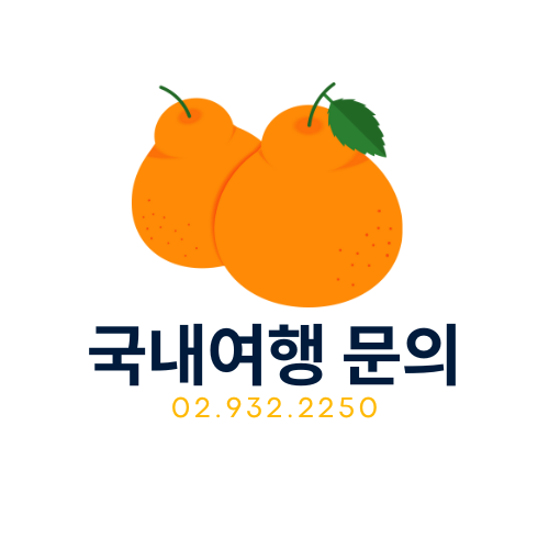 하나투어 빅여행사