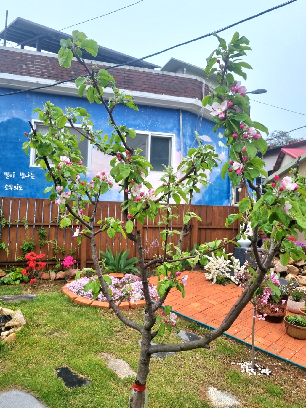 뗌리 대표 이미지