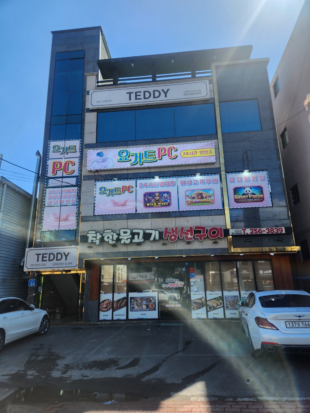테디스웨디시아로마 photo 6