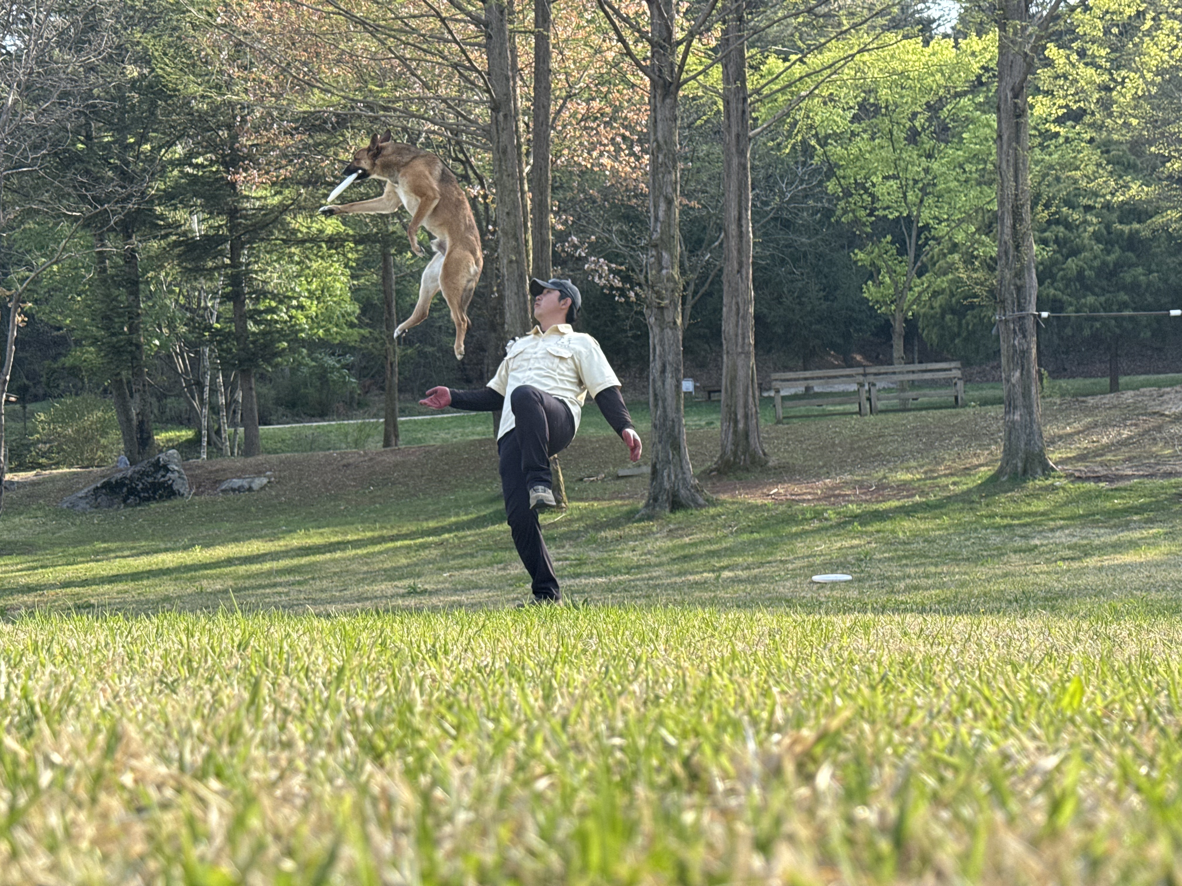 으로 분류됩니다 방송은 지역 내에서 반려동물을 주제로 한 체험형 장소를 소개하는 형식으로 진행됩니다 동물 관련 경험과 체험을 통해 가족 단위 방문객이 여가를 즐길 수 있는 공간으로 알려져 있습니다 포천시 영북면에 위치해 교통 접근성이 비교적 양호하며 경관이 아름다운 산정리 인근에 자리합니다 이 업종은 동물 관리와 체험 서비스의 조합으로 방문객의 안전과 쾌적함을 우선으로 한다는 점이 강조됩니다 마이애니멀스토리의 지역성은 포천시 및 영북면의 지역 특성과 맞물려 지역 사회에 긍정적인 영향을 주고 있습니다 또한 포천시의 자연 친화적 분위기와 잘 어울리는 장소입니다 음식 사진