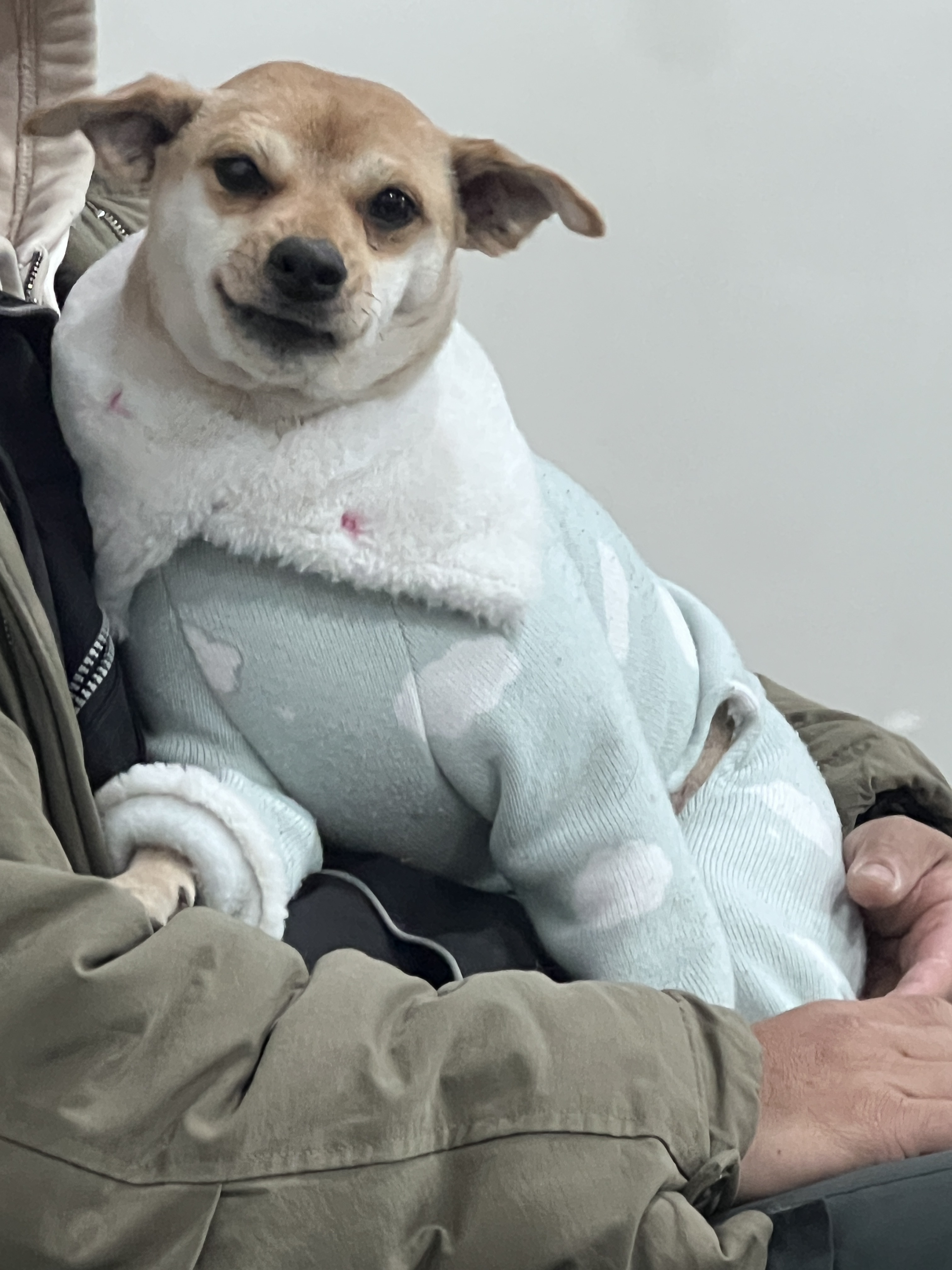 마린독스 대표 이미지