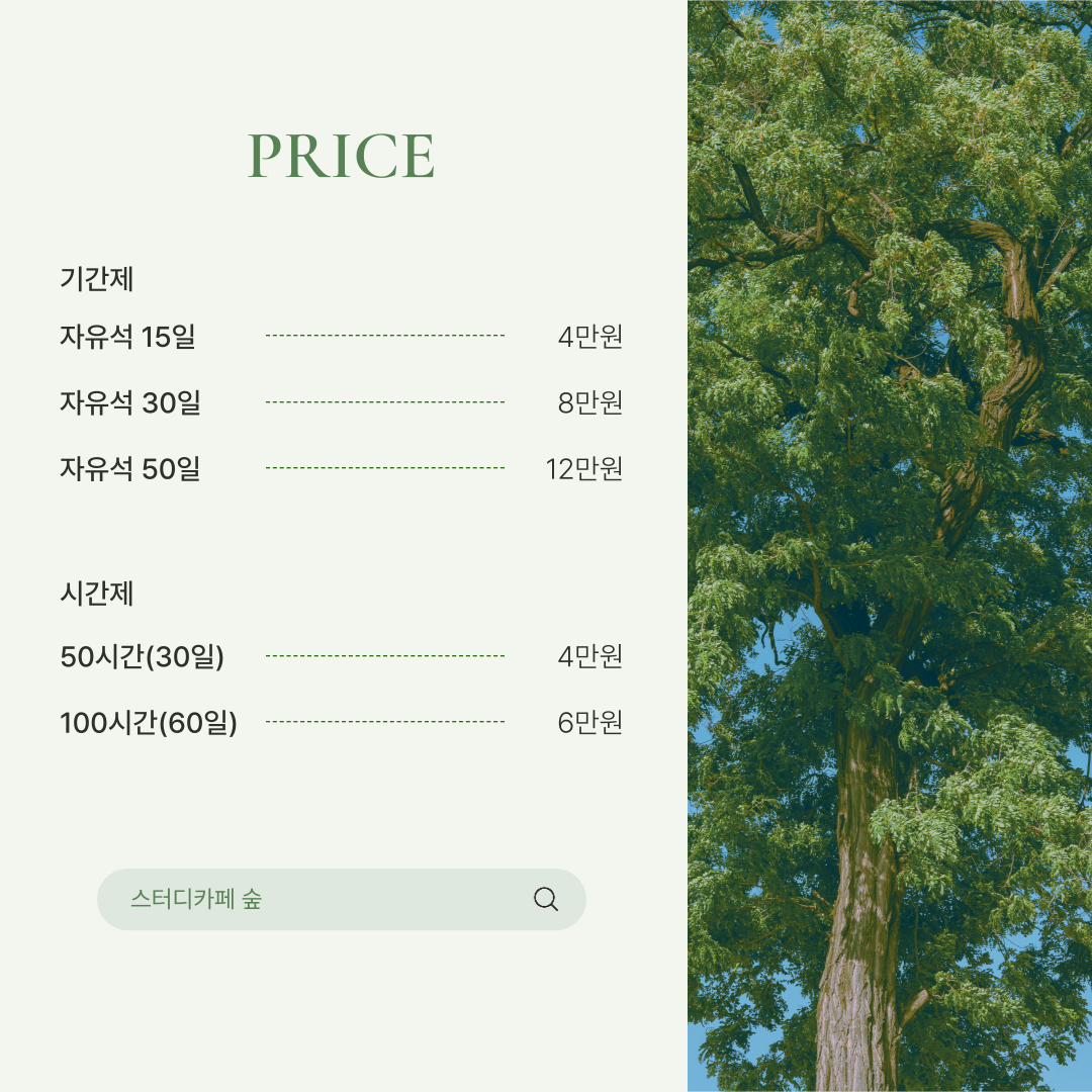 스터디카페 숲 대표이미지