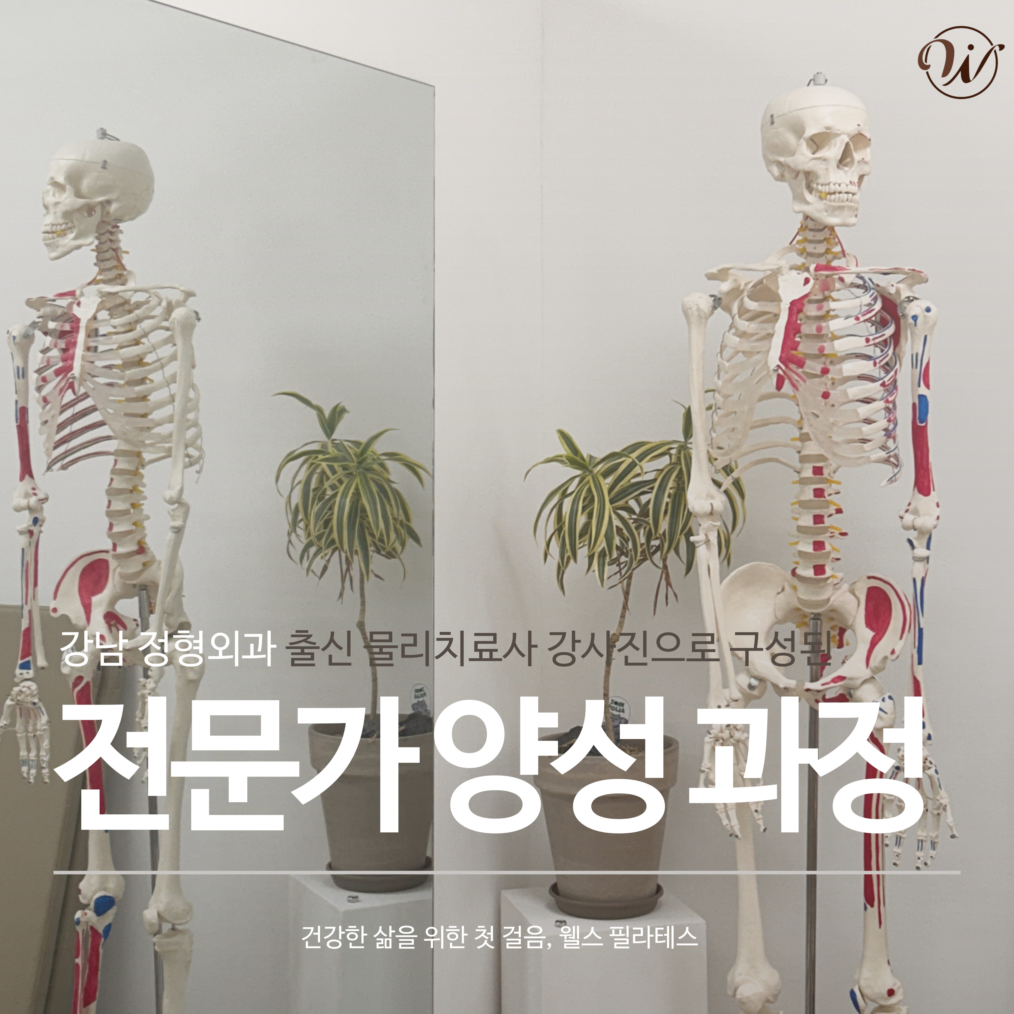웰스 스트레칭&필라테스&체형교정 야당점 대표 이미지