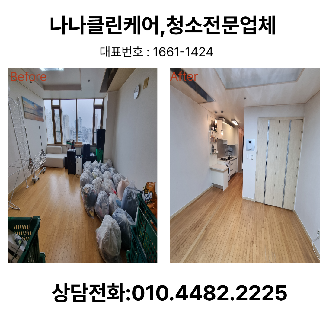 나나클린케어