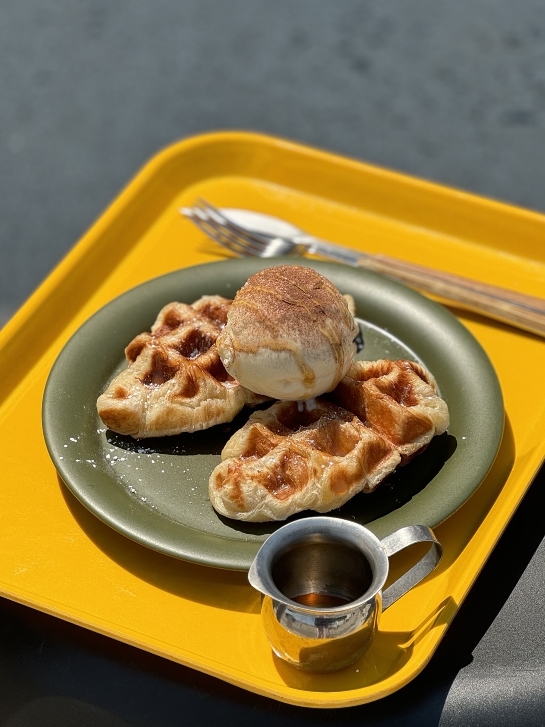 카루나라운지 강원 애견맛집