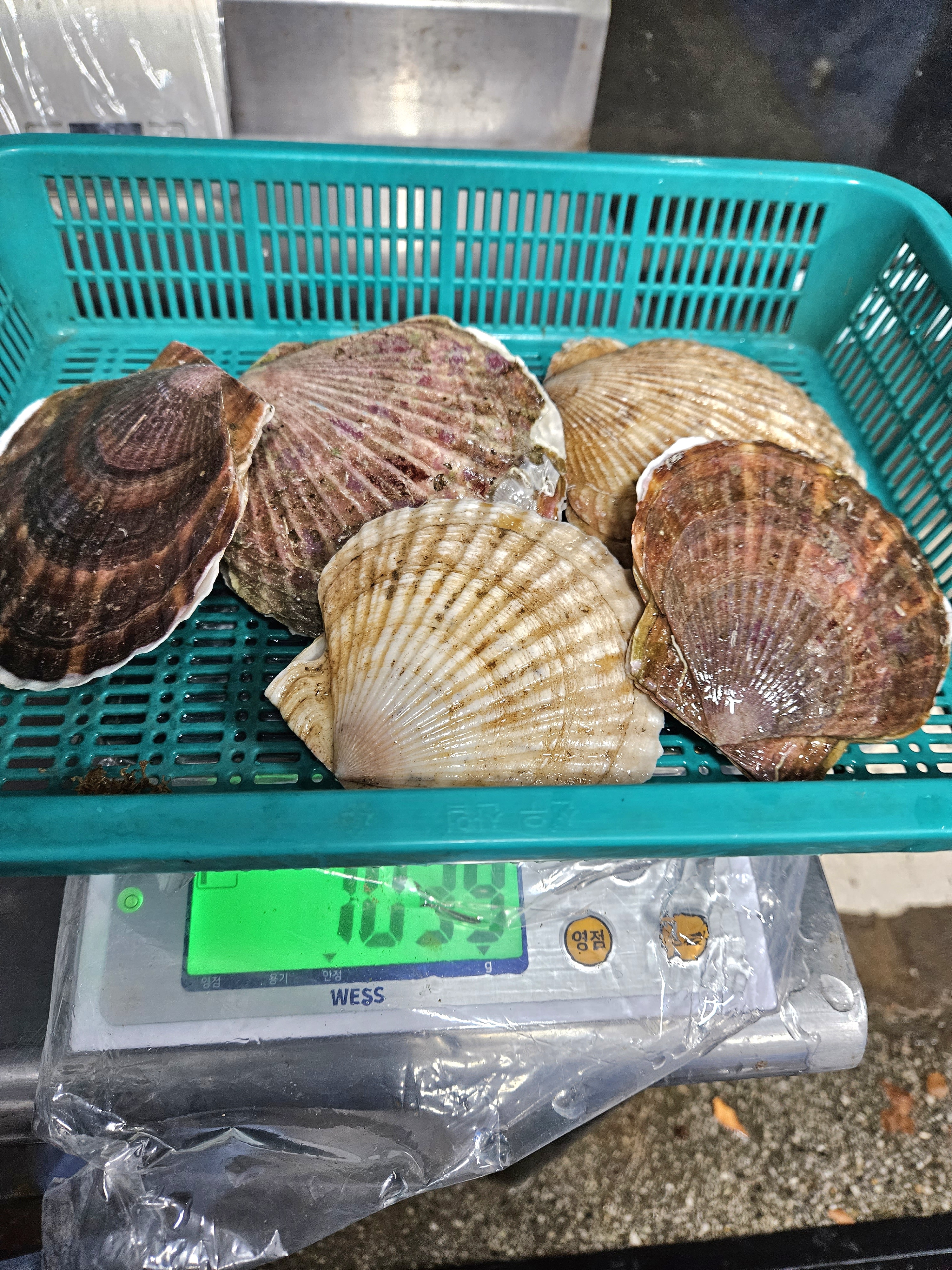 금송수산